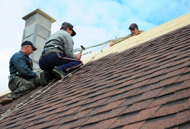 Best Storm Damage Roof Repair  in Biltmore Forest, NC